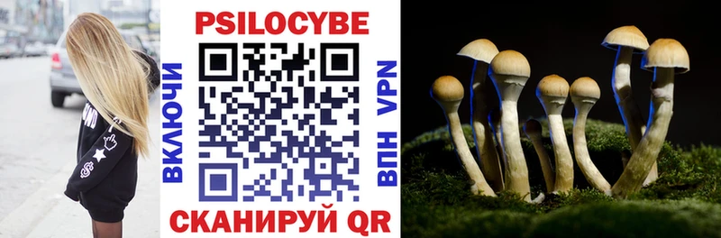 Псилоцибиновые грибы GOLDEN TEACHER  цены   Уяр 